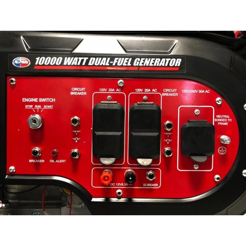 All Power 10000 Watt Dual Fuel Generator, Heavy Duty Portable Generator G10000EGL, /Propane - Image 2