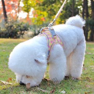 Adjustable Plaid Dog Harness and Leash