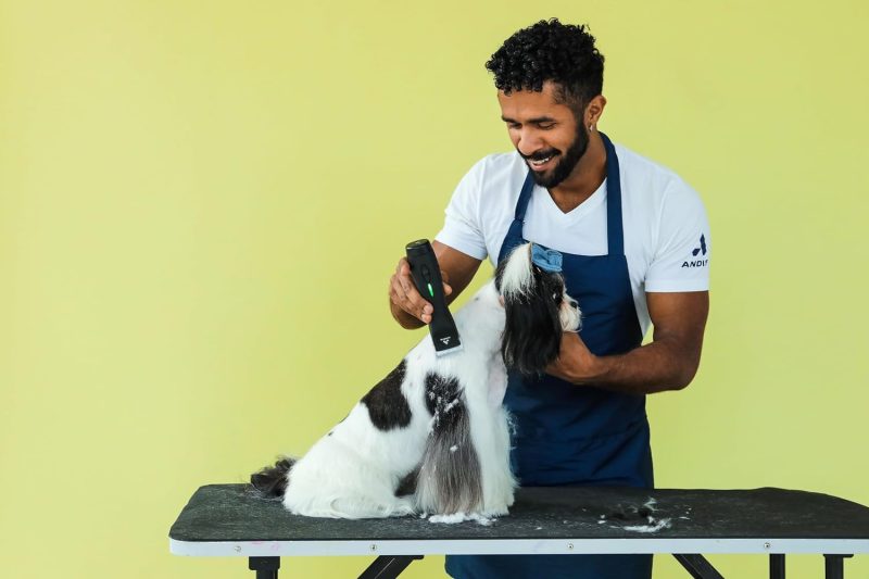 79170 Pulse Zr II 5-Speed Detachable Blade Clipper, Cordless Animal/Dog Grooming, Removable Lithium Ion Battery, LED Charge Light, Black - Image 3