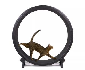 One Fast Cat 48′′ Giant Cat Exercise Wheel with EVA Foam Surface, Easy Assembly & Cleaning