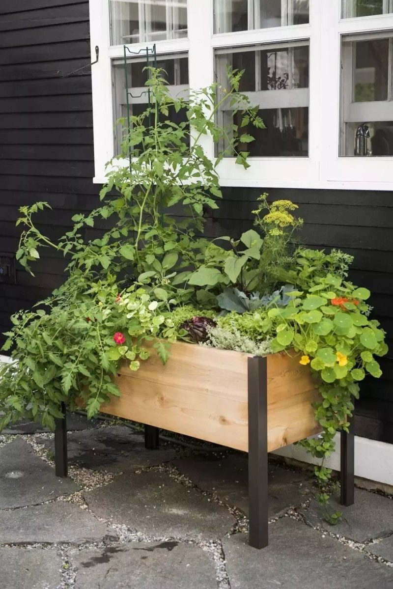 EcoStained Self-Watering Raised Planter Box with Aluminum Legs, Cedar/Cypress, 96   x24   x29 - Image 8