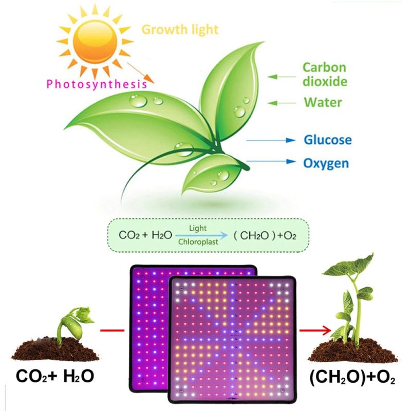 1000W LED Grow Light Panel - Image 6