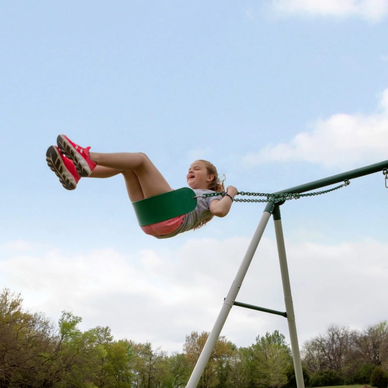 Backyard Discovery Big Brutus Heavy Duty A Frame Swing Set - Image 5