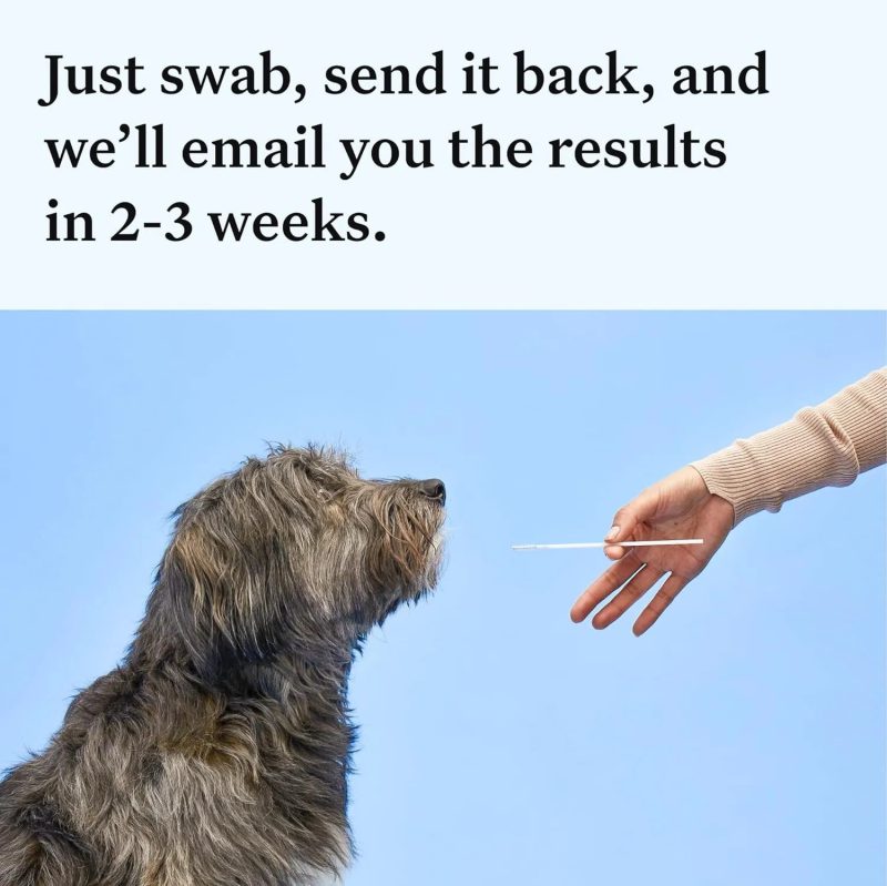Wisdom Panel Essential Dog DNA Kit - 2 Pack - Image 6