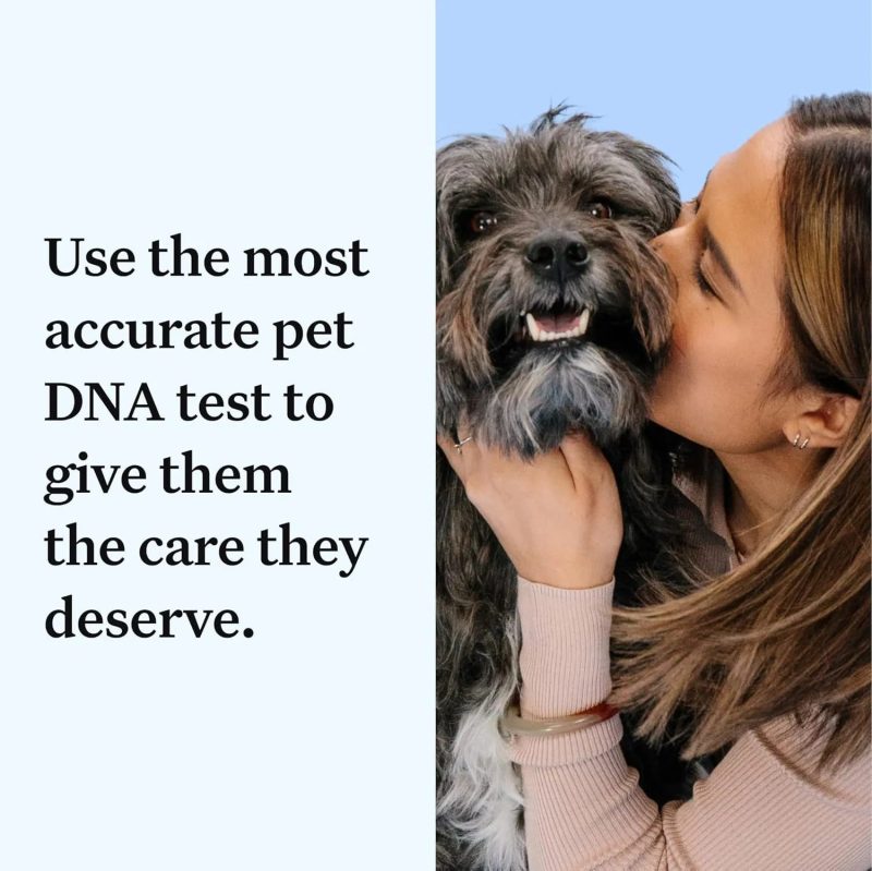 Wisdom Panel Essential Dog DNA Kit - 2 Pack - Image 2