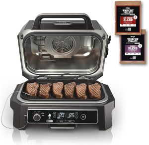 7-in-1 Grill & Smoker with Thermometer, Air Fryer, BBQ, Bake, Roast, Broil – Portable Electric Outdoor Grill, Grey