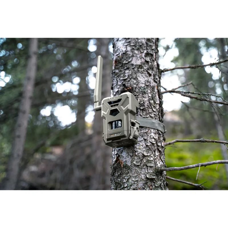 SpyPoint Flex-M Trail Camera Twin Pack, 28MP, 0.4s Trigger, Infrared Flash, SD Cards Included - Image 2