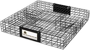 2024 Rugged Ranch Squirrelinator 2 Door Small Metal Wire Multi-Catch Live Animal Squirrel Catch & Release Cage Trap for Pest Control  Black