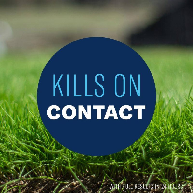 BioAdvanced Grub Killer Plus Granules 24-Hour Lawn Pest Control, 10 lb - Image 3