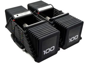 Ziberevw 100 Exp