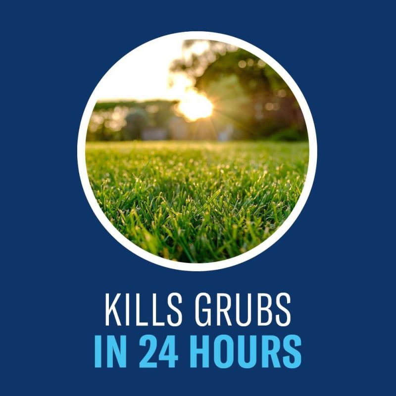 BioAdvanced Grub Killer Plus Granules 24-Hour Lawn Pest Control, 10 lb - Image 6