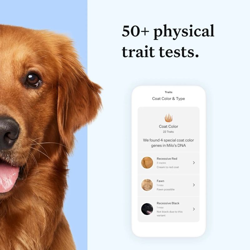 Wisdom Panel Essential Dog DNA Kit - 2 Pack - Image 5