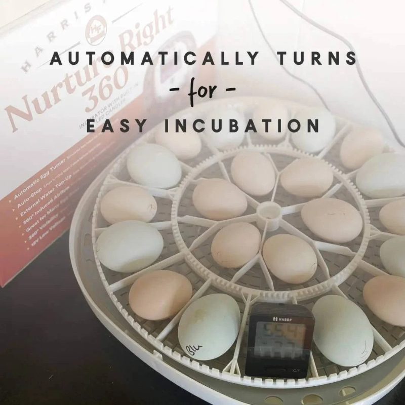 Harris Farms Nurture Right 360 Incubator - MadeInUSA - Image 2