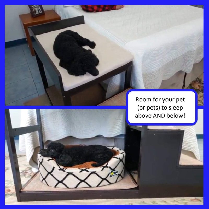 Penn-Plax Buddy Bunk Multi-Level Bed | Pet Stairs for High Beds and Couches | 3 Step System for Small Sized Dogs and Cats | Practical and Accommodating for Modern Homes (DOGF60) - Image 6