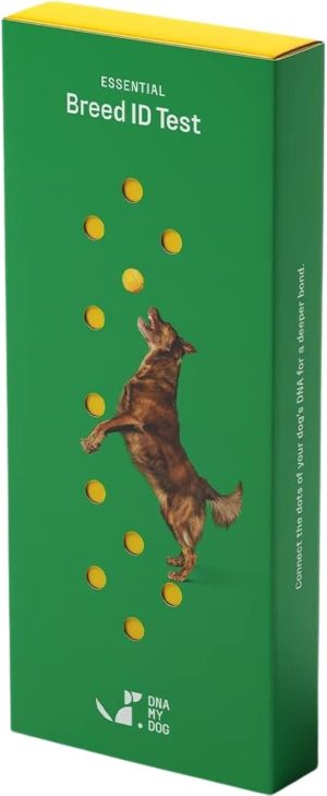 Dna My Dog Essential Test �C Breed ID Test Mixed Breed Identification  Personality Traits  for Puppies to Adult Dogs  Non-Invasive Cheek Swab
