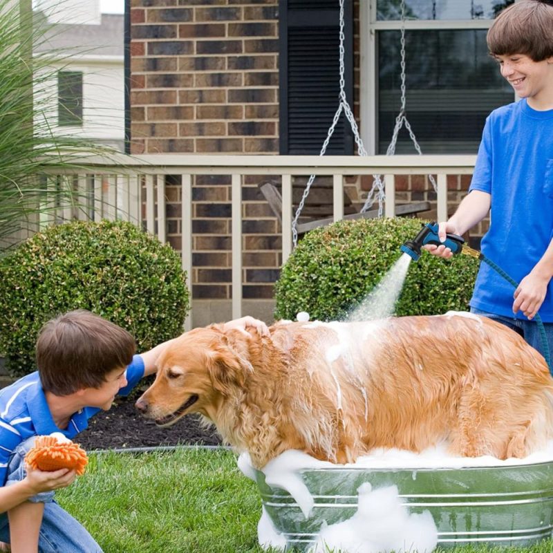 2025 50Ft/100Ft Expandable Garden Water Hose - Image 7