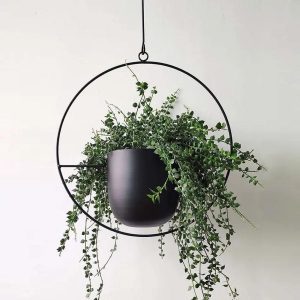 AeroHaloTM – Metal Hanging Planter