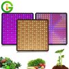 1000W LED Grow Light Panel - Image 4