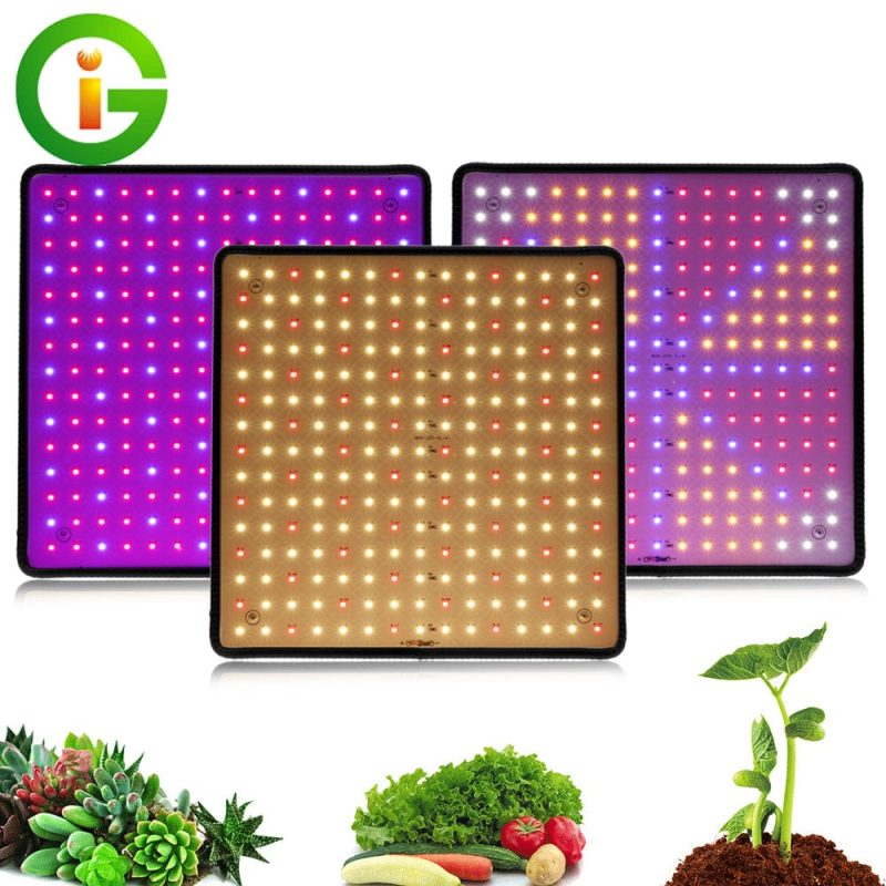 1000W LED Grow Light Panel - Image 4