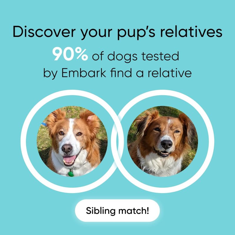 Embark Breed & Health Kit �C Dog DNA Test �C Discover Breed  Ancestry  Relative Finder  Genetic Health  Traits  COI - Image 7