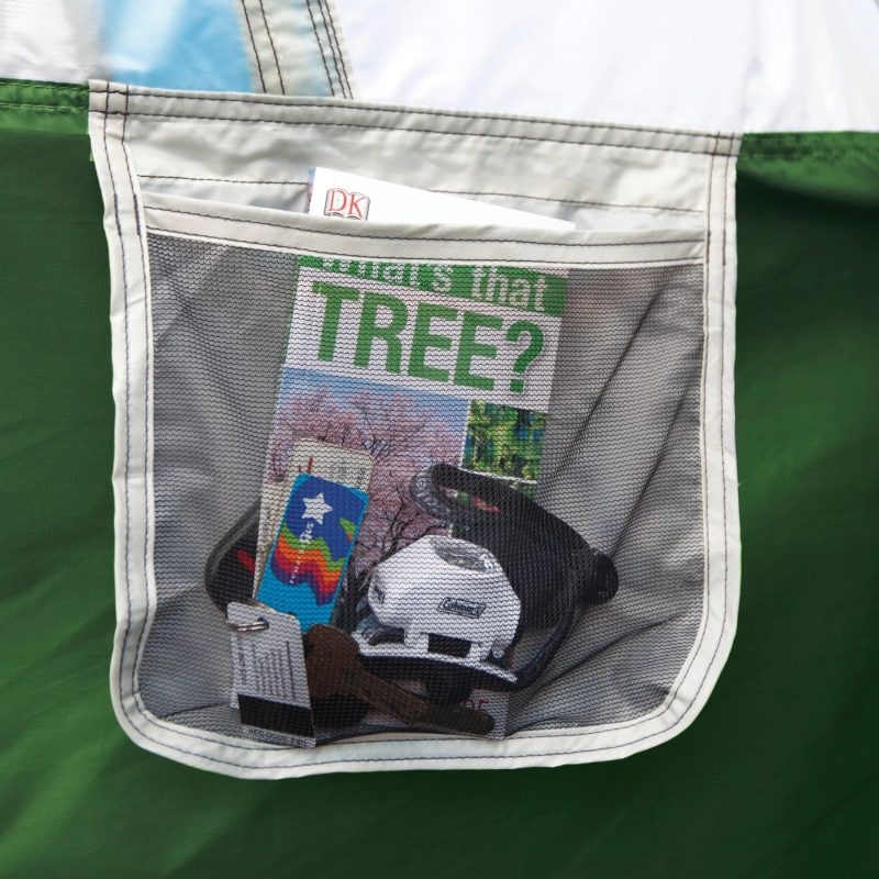 Coleman Evanston 6-Person Dome Tent with Screen Room, 2 Rooms, Green - 图片 5