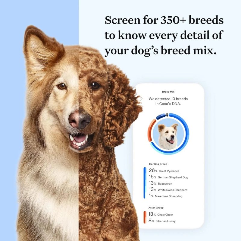 Wisdom Panel Essential Dog DNA Kit - 2 Pack - Image 3