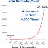 Ultimate Probiotic Yogurt Maker   Make Trillions of Live Probiotics with Adjustable Temperature   Time Control   Get  Gut Health   LIFETIME WARRANTY   Perfect Kitchen Gifts for Women   Men - 图片 14