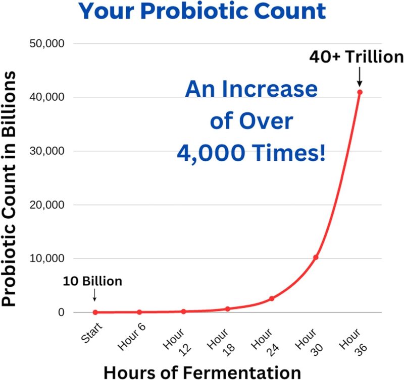 Ultimate Probiotic Yogurt Maker with Two 1-Quart Containers for Larger Batches   Make Trillions of Live Probiotics with Adjustable Temp   Time Control   Best Greek Yogurt Maker   LIFETIME WARRANTY - Image 14