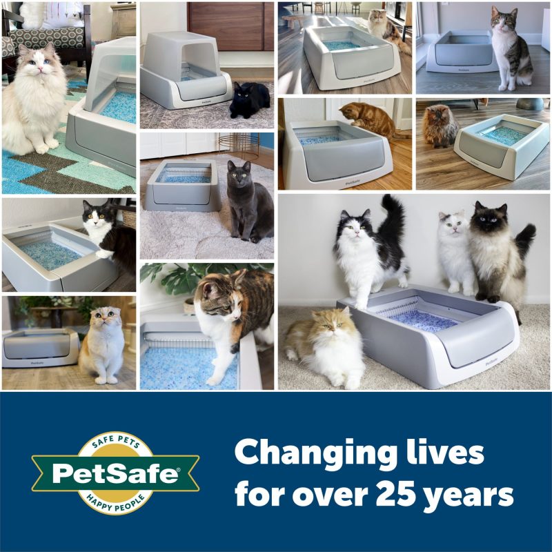 PetSafe ScoopFree Complete Replacement Blue Crystal Litter Tray?? 6-Pack Easy Cleanup with Disposable Tray Includes Leak Protection and Low Tracking Litter - Image 6