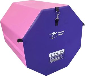 Kangaroo Hoppers 24" x 26" Gymnastics Octagon Tumbling Mat with Carrying Handles for Home Gym Exercise (Pink/ Purple)