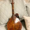 Eastman Mandolin MD515 Used Excellent Condition With Hard Case - Image 3