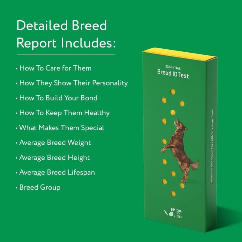 Dna My Dog Essential Test �C Breed ID Test Mixed Breed Identification  Personality Traits  for Puppies to Adult Dogs  Non-Invasive Cheek Swab - Image 7