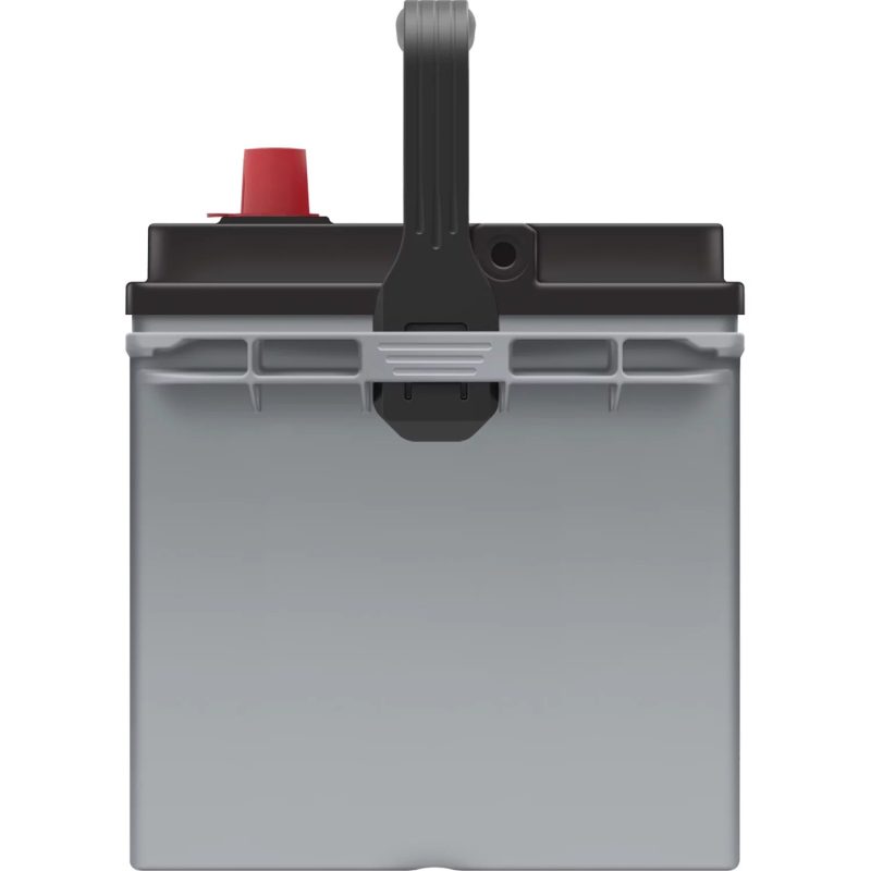 EverStart Platinum AGM Automotive Battery, Group Size 24F 12 Volt, 750 CCA - MadeInUSA - Image 6