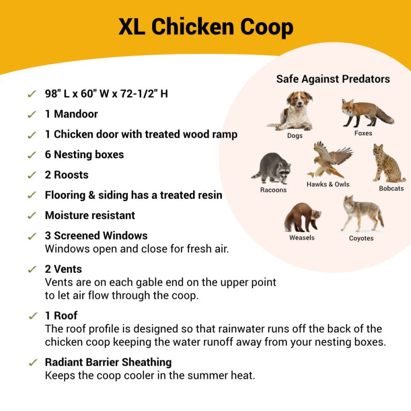 OverEZ XL Chicken Coop - Up to 20 Chickens - Image 4