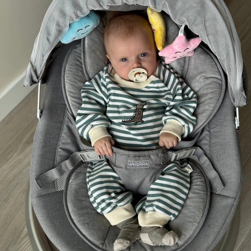 HARPPA Weddell | Electric Baby Swing - Image 56