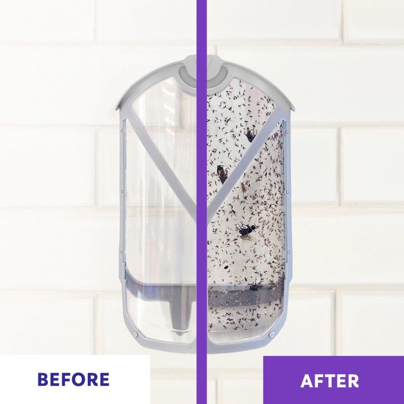 Zevo Flying Insect Trap, Indoor Fly Trap - 2 Devices + 2 Refills (Value Pack) - Image 5