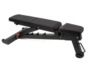 Ziberevw 2.0 Adjustable Weight Bench