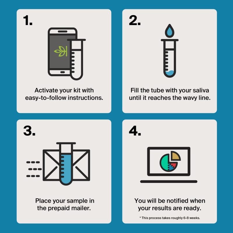 AncestryDNA Genetic Test Kit: Personalized Genetic Results, DNA Ethnicity Test, Complete DNA Test - MadeInUSA - Image 2