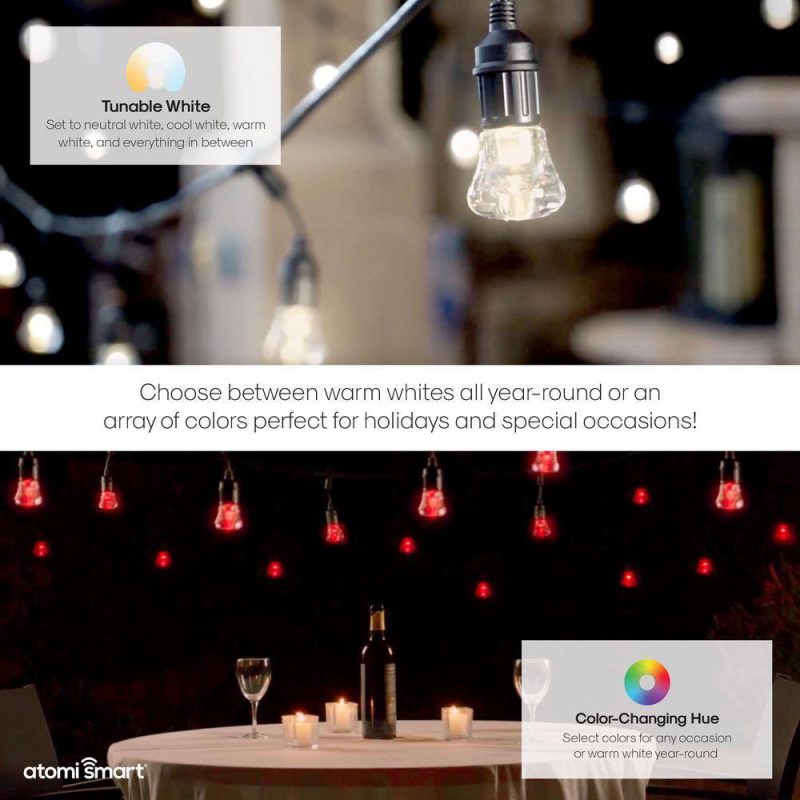 Atomi Smart WiFi Color String Lights, 24ft, Alexa/Google Compatible, Waterproof LED - Image 5