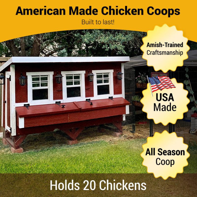 OverEZ XL Chicken Coop - Up to 20 Chickens - Image 2