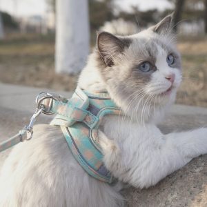 Adjustable Plaid Cat Harness and Leash