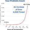 Ultimate Probiotic Yogurt Maker   Make Trillions of Live Probiotics with Adjustable Temperature   Time Control   Get  Gut Health   LIFETIME WARRANTY   Perfect Kitchen Gifts for Women   Men - 图片 6